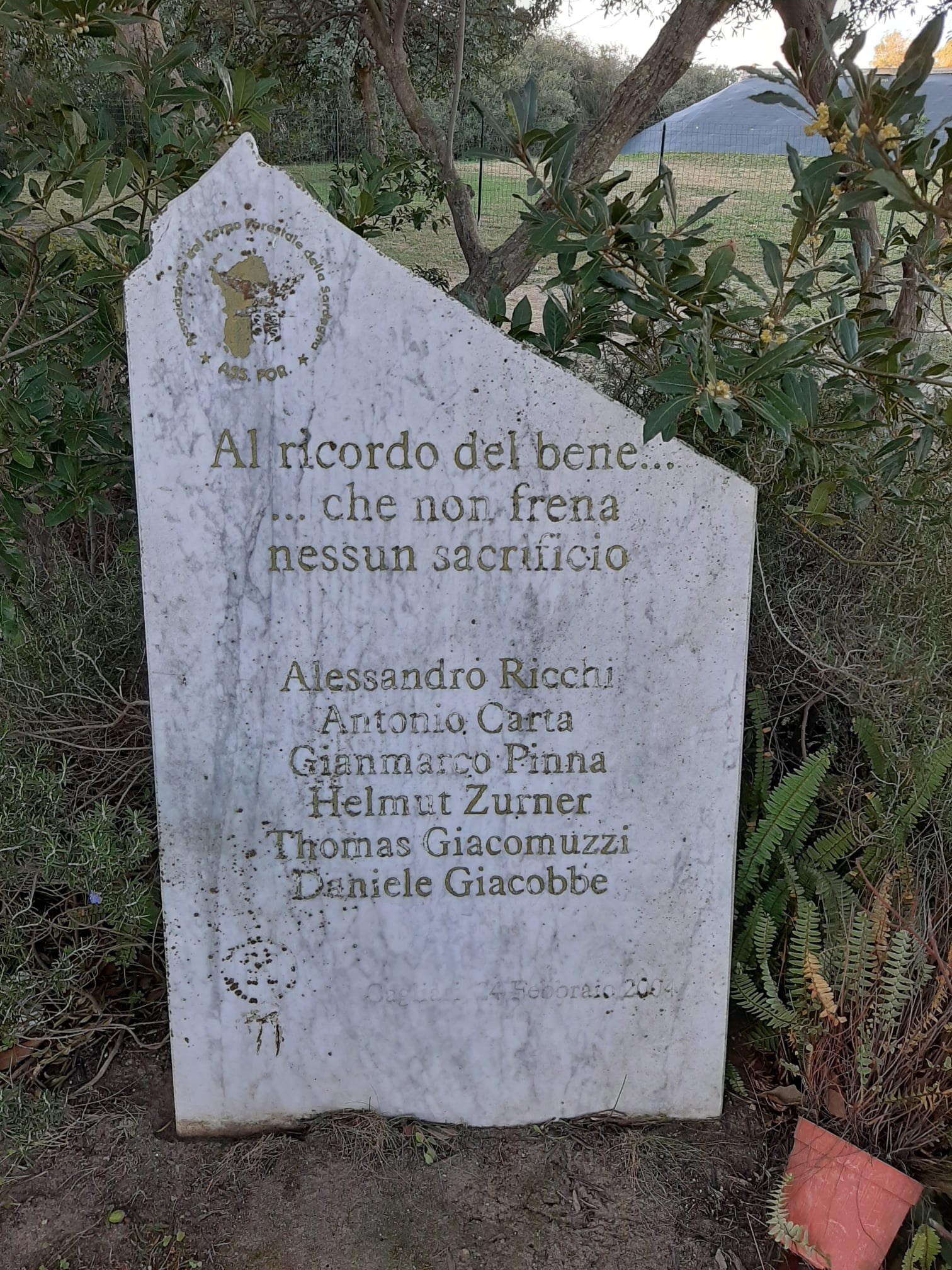 274732757 1123914971702249 4744628834401641272 n