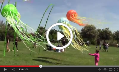 Corri..Donando Video