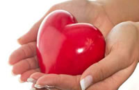 Donazione degli organi