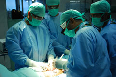 Sala Operatoria Trapianti